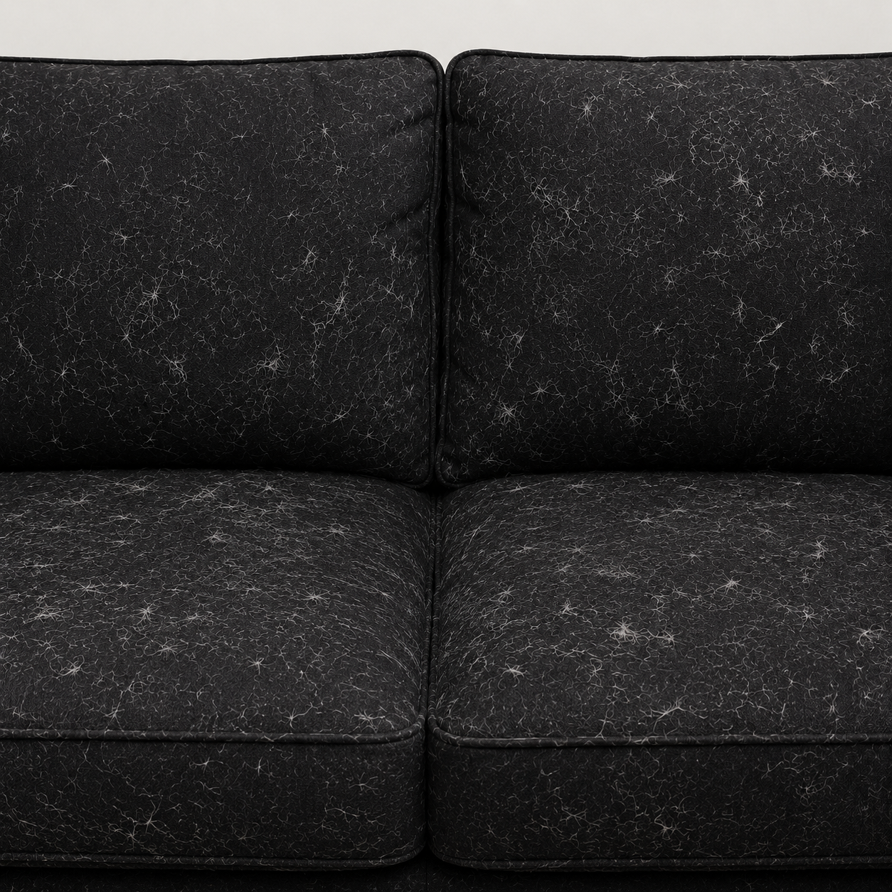 Sofa covered in pet hair before using the glove